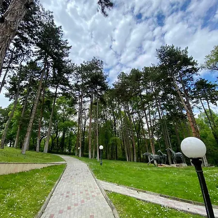 Hissar 4*