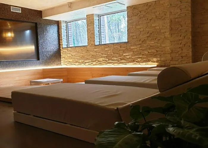 Hotel Hissar Chisaria