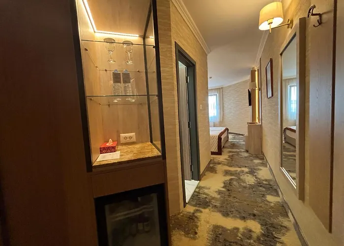 Hotel Hissar Chisaria